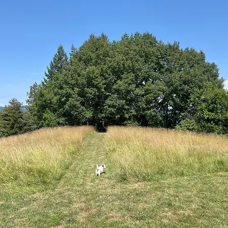 Casa Laiazzo Alojamento de Acomodação e Pequeno-almoço