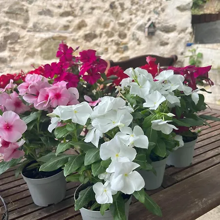 Casa Laiazzo 3* קאירו מונטנוטה