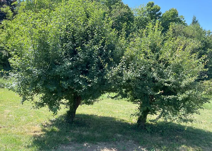 Bed & Breakfast Casa Laiazzo