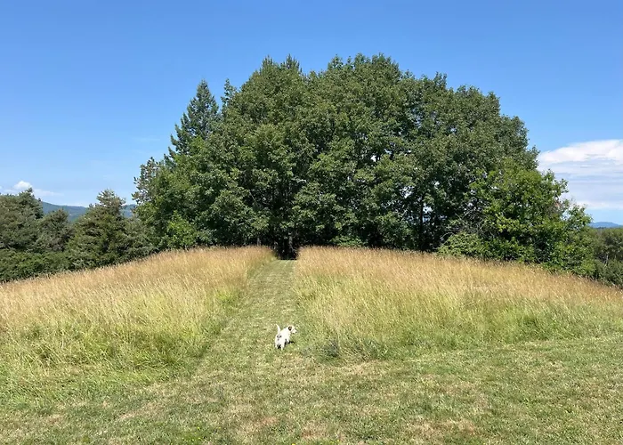 Casa Laiazzo Bed & Breakfast